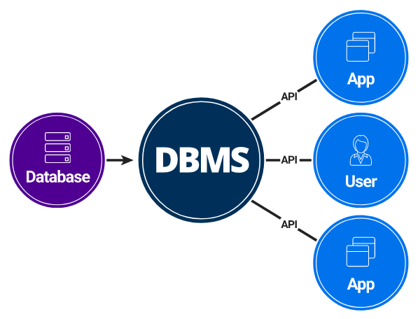 ما هو نظام إدارة Database "DBMS"