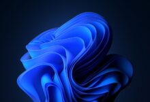 طريقة البحث عن مكان صورة خلفية سطح المكتب في نظام ويندوز 11 (شرح بالصور)